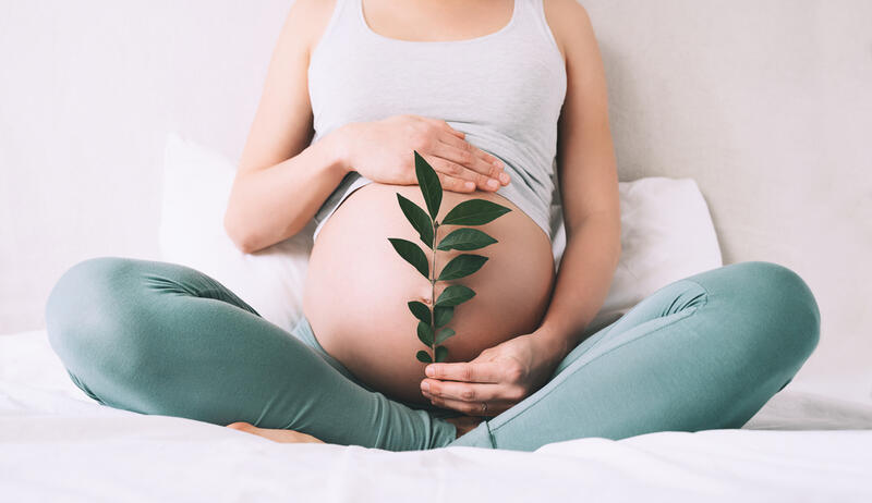 How to Have a Healthy Pregnancy: Healthy Habits You Should Consider